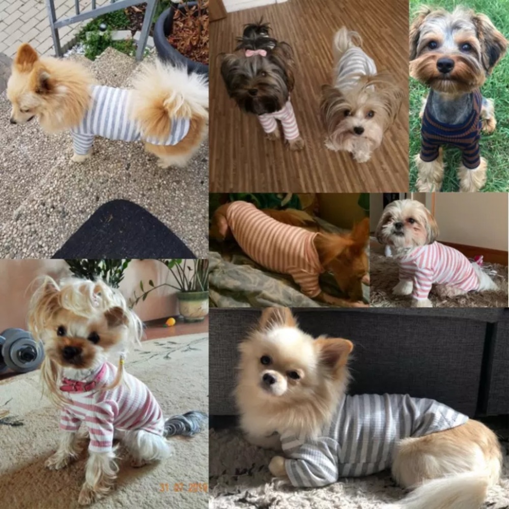 Last 1🥳🥳HP🥳🥳Puppy / Cat outfit - Picture 2 of 6